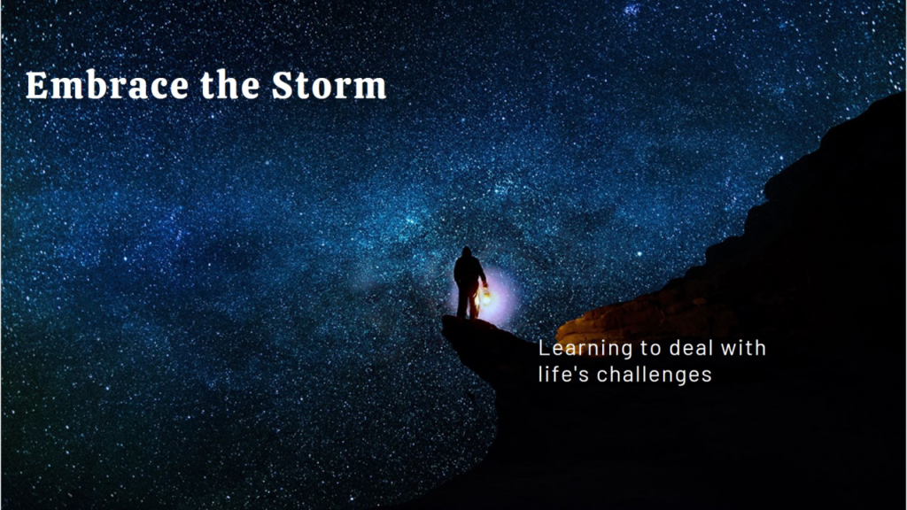 NEGATIVE CAPABILITY = Standing in the storm of life = success is the storm (learn to deal with it = grow)