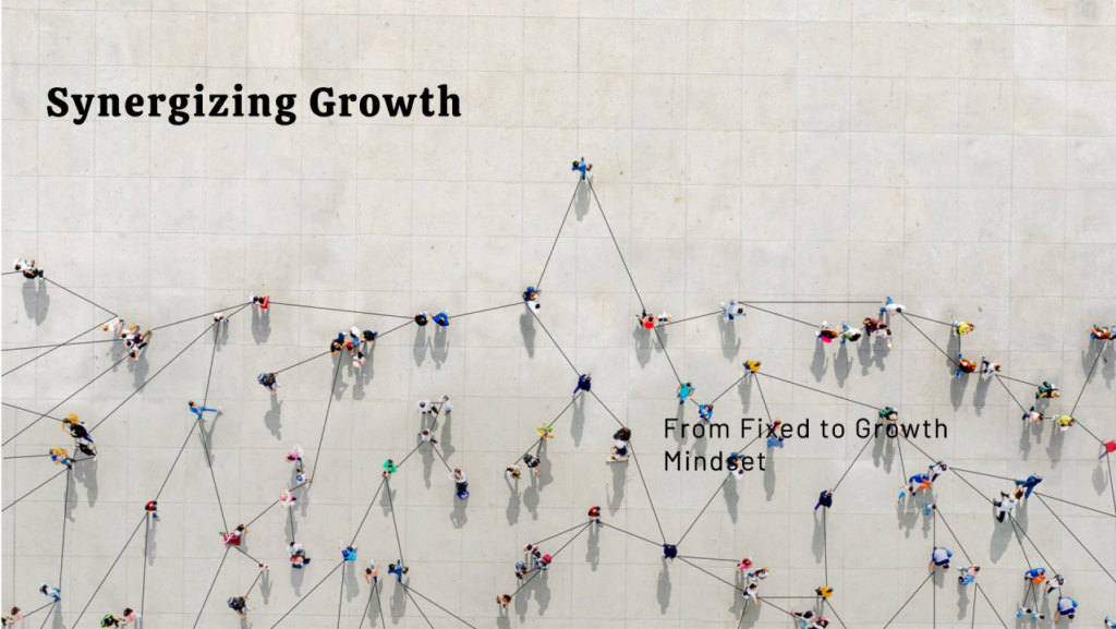 From Fixed through Growth – towards a Synergizing – Mindset